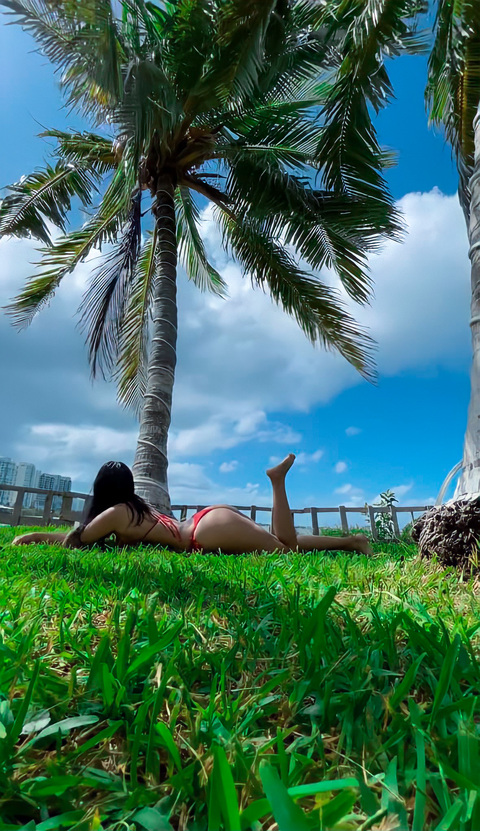 Merybetanzos🦋 @merybetanzos cover picture