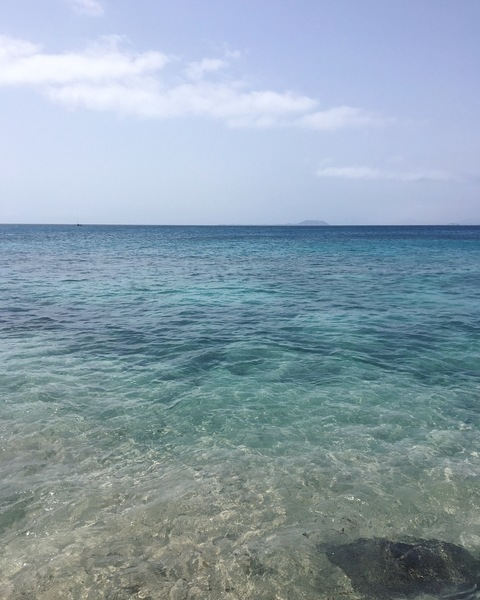 Mia Monroe @mia-monroe cover picture