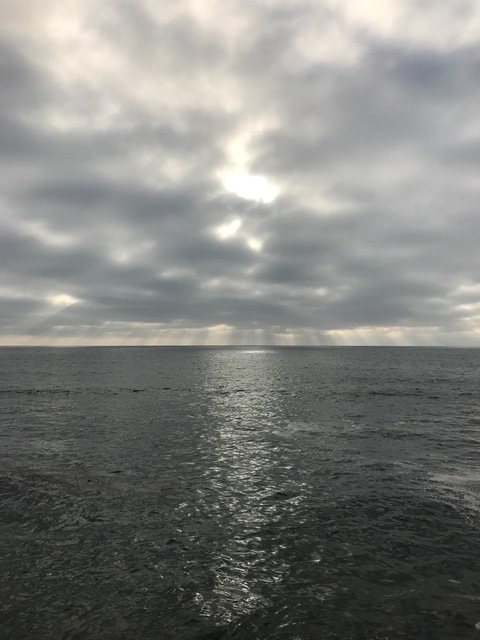 Mia @miamatthewz cover picture