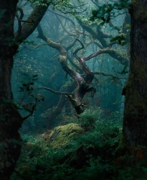 Michelle @michelle514 cover picture