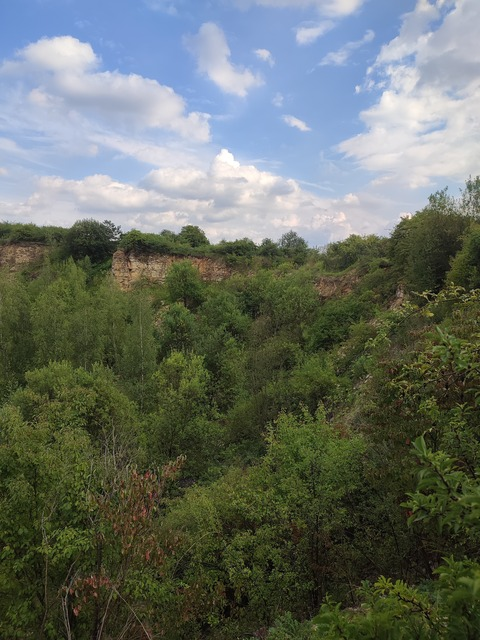 MickeyMouse @mickeyymouse cover picture