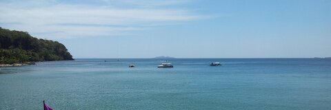 micko ✅ @micko cover picture