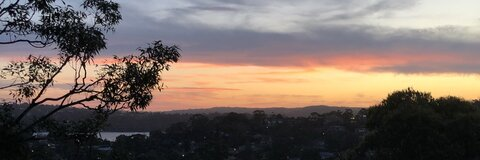 mikesydbear @mikesydbear cover picture