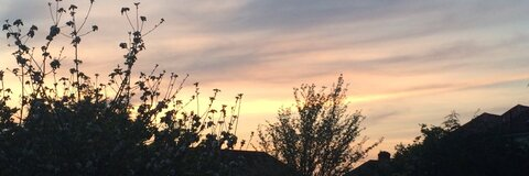 Millie Blackhall @millierosex cover picture