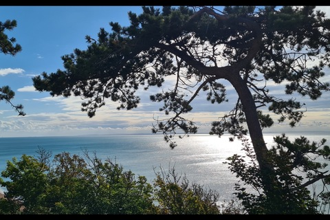 Mind &amp; Feet @mind-and-feet cover picture