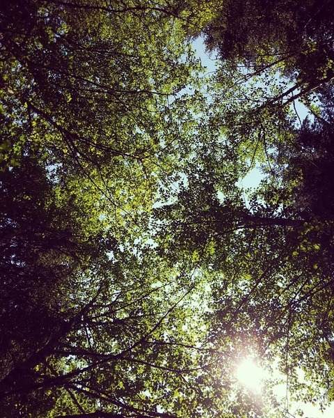 Hollywood @miss_holly cover picture