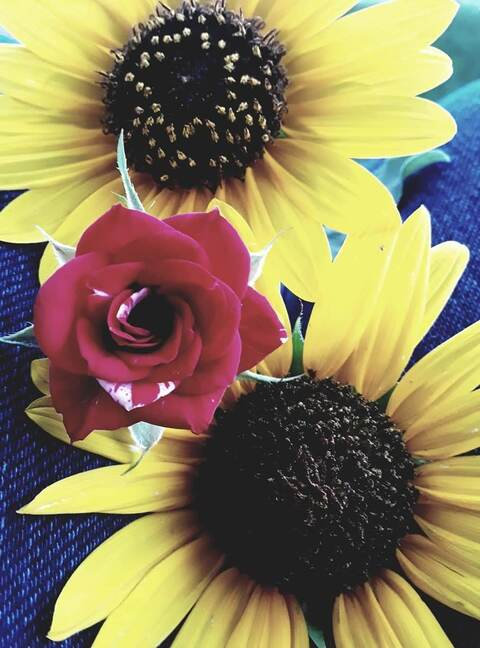 Blue @missblu cover picture