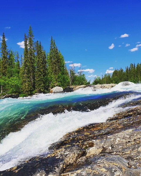 Miss North @missnorth cover picture