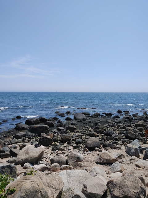 summer rose @mistressoffun cover picture