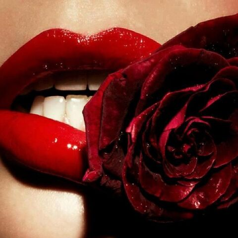 Mistress Rose @mistressrose cover picture