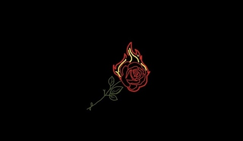 Rk. @mjlavender cover picture