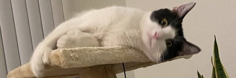 melissaaa @mmmelissa97 cover picture