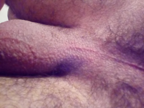 Bull 23 @moglie cover picture