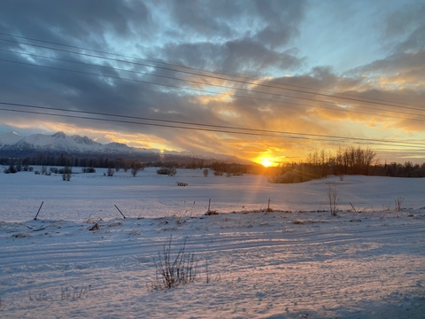 Shell @mombunns cover picture