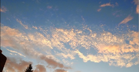 Mama Roo @mommyroo cover picture