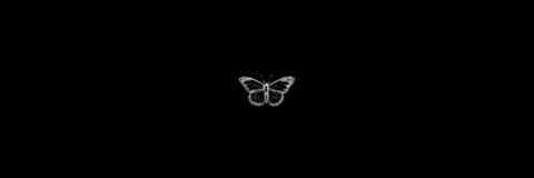 Mira @monetesque cover picture