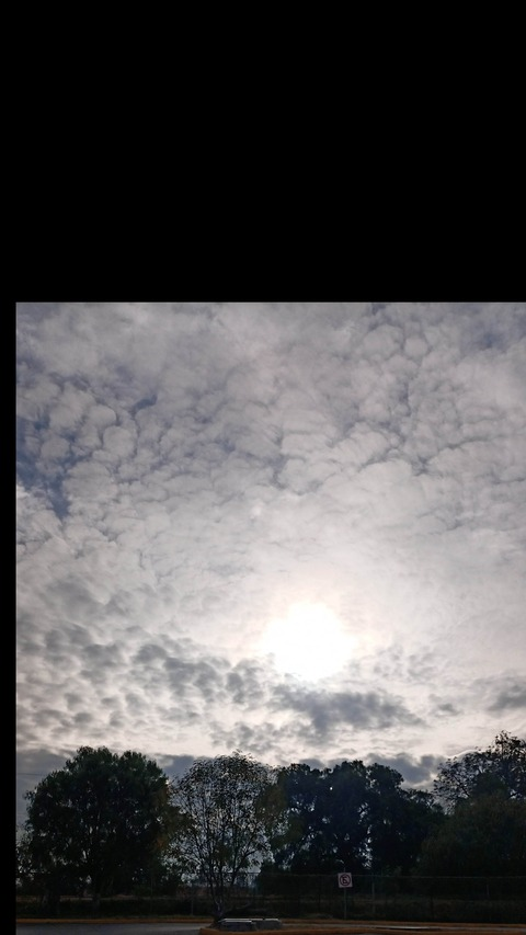 u131576623 @monsec03 cover picture