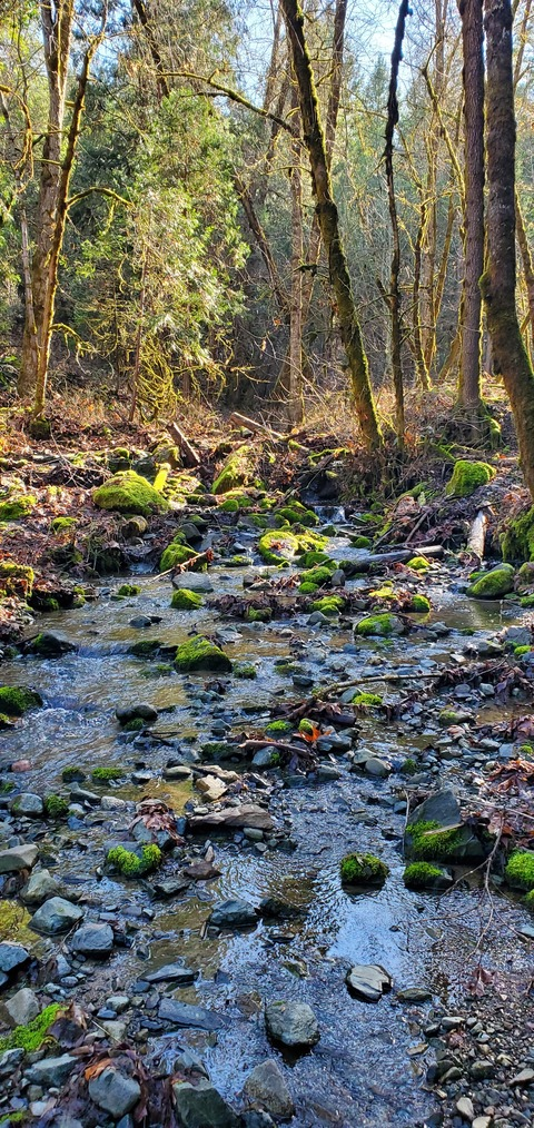 😆 @moonsugar cover picture