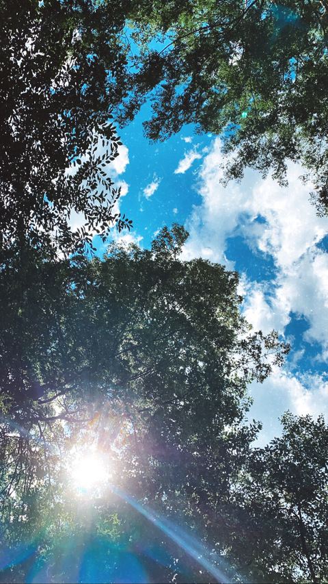 Morgan @morgangallo cover picture