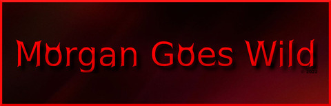 Morgan goes wild @morgangoeswild cover picture
