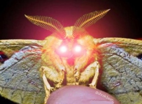 Shiva Harmony @mothma cover picture