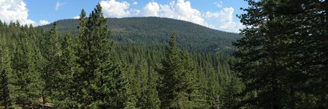 Taylor @mr_sexystoner cover picture