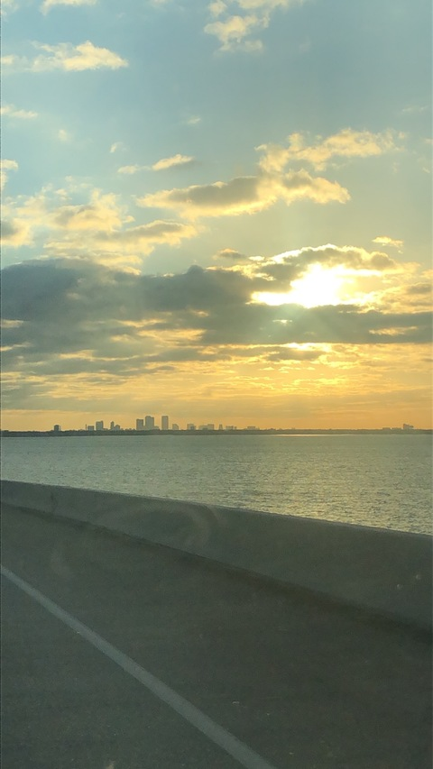 MrTyson @mrtyson cover picture