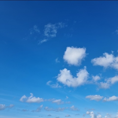 MW_premium @mw_premium cover picture