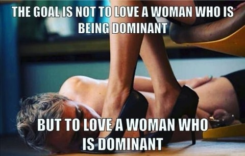 Siren @mysirensong cover picture