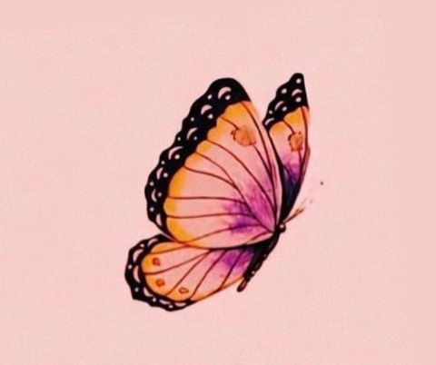 Nameita @nameita cover picture