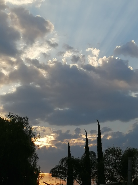 NAN @nanette cover picture