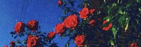 natali @nataliat cover picture
