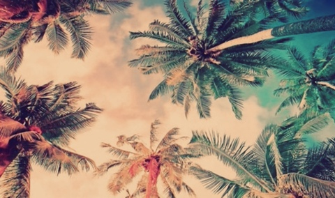 Tasha @natashabae cover picture