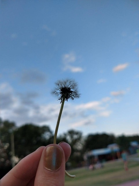 Nazarena @nazarena cover picture