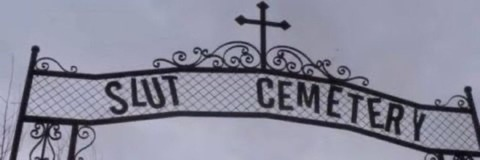 ncnitsa @ncnitsa cover picture