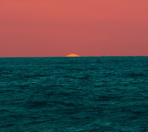 Nectar and Cream @nectarandcream cover picture