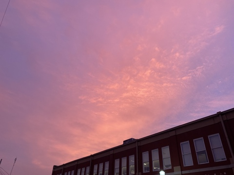 evie @needyevie cover picture