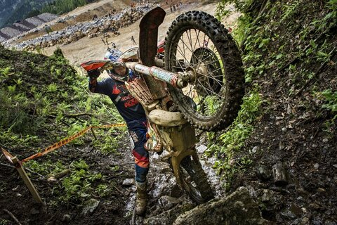 Neko Niko @nekoniko cover picture