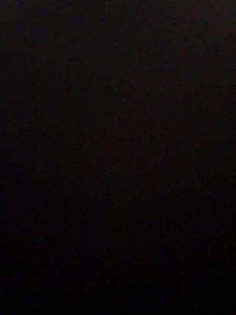 NESSATHEBRAT @nessathebrat cover picture