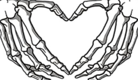 Niecy @niceysoles cover picture