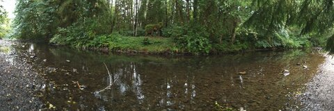 Nickelatnight @nickelatnight cover picture