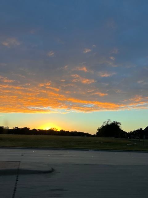 Nikky @nikky cover picture