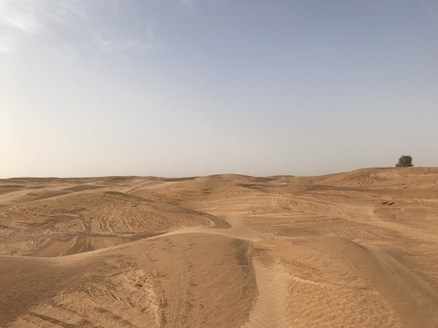 Nis @nisnis cover picture