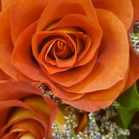 Nikki @nnikkinichole cover picture