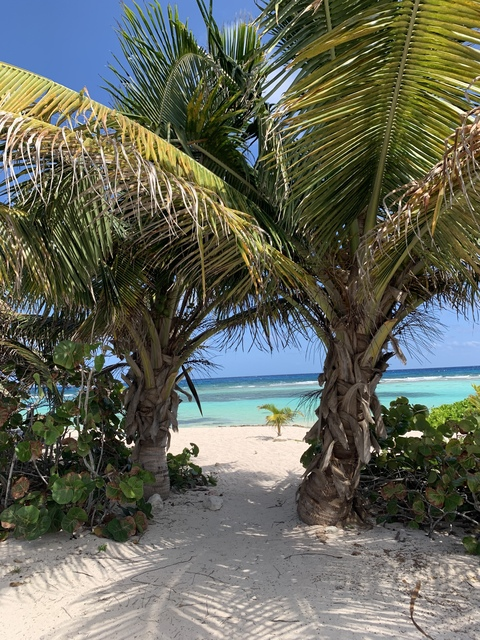 gally @notgallygal cover picture