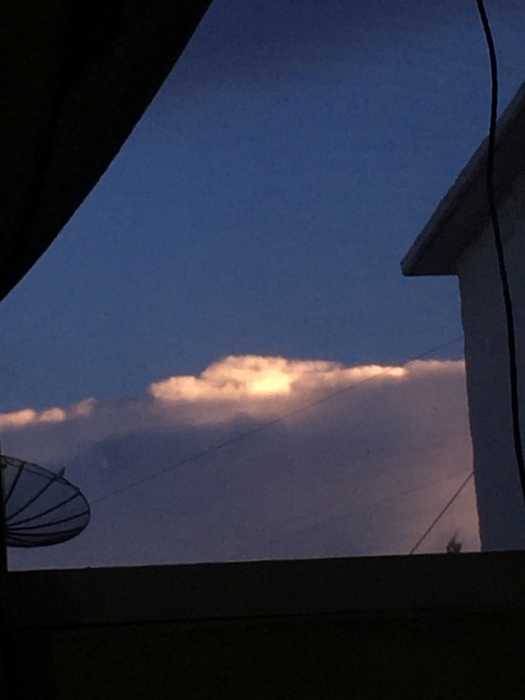 Anemona @nvr000 cover picture