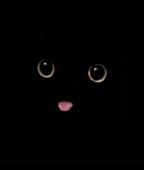 Oathmeal @oathmeal cover picture