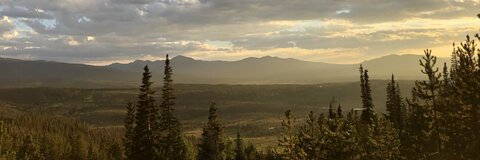 Feibri ☀️ @obliviouscorpse cover picture