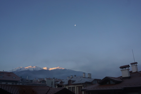 Laura Bales @oddsocks cover picture