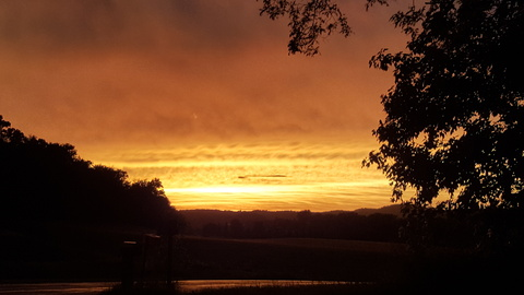 Doofy @ofcdoofy cover picture